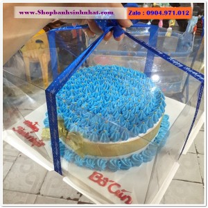 Bánh Sinh Nhật Sữa Tươi - AA117